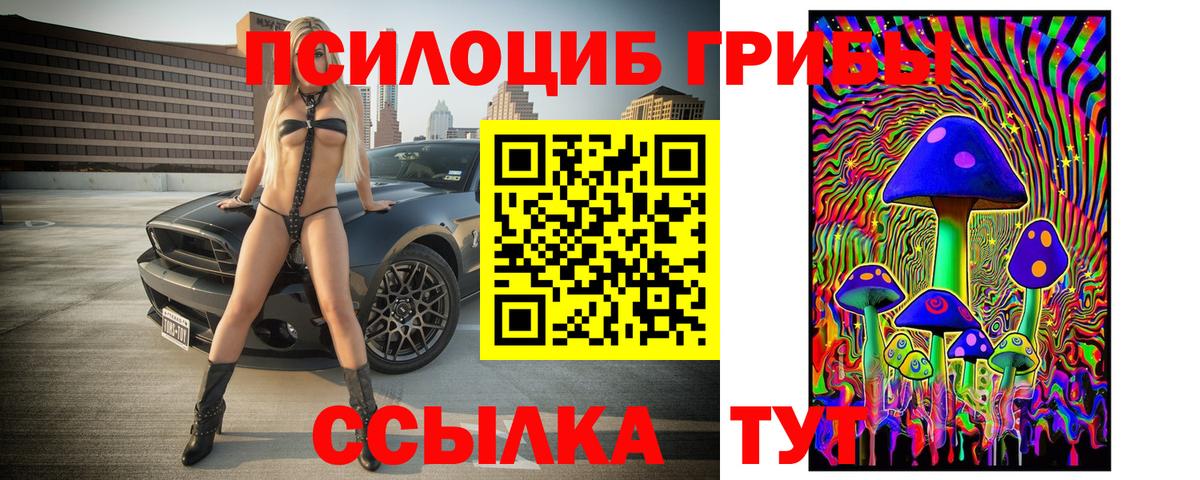Бийск  Галлюциногенные грибы мицелий  Вход с VPN 
